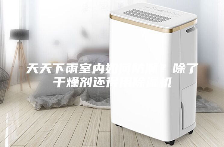 天天下雨室内如何防潮？除了干燥剂还得用除湿机