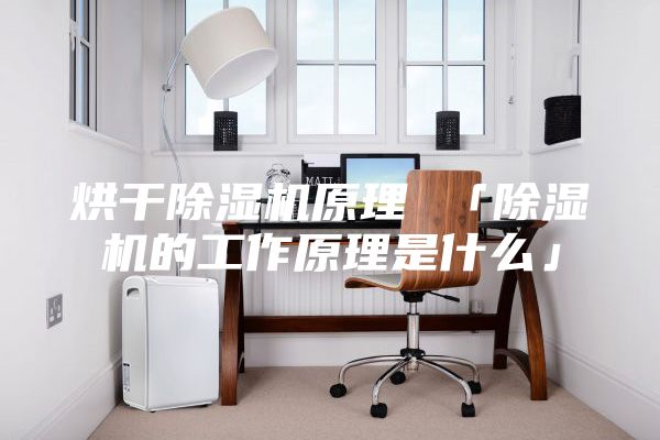 烘干除湿机原理 「除湿机的工作原理是什么」