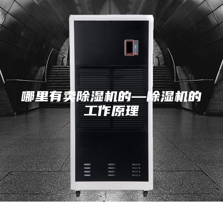 哪里有卖除湿机的—除湿机的工作原理