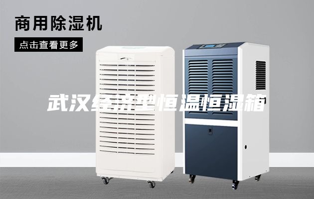 武汉经济型恒温恒湿箱