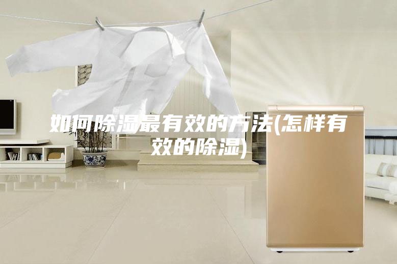 如何除湿最有效的方法(怎样有效的除湿)