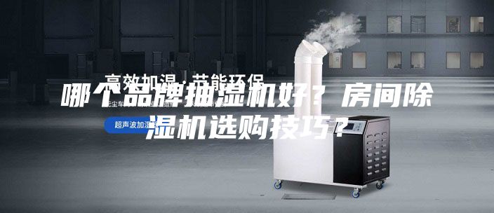 哪个品牌抽湿机好？房间除湿机选购技巧？
