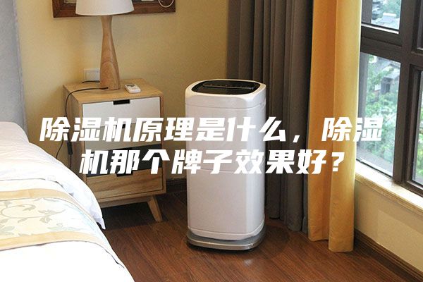 除湿机原理是什么，除湿机那个牌子效果好？