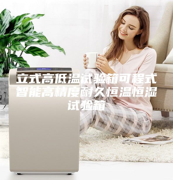 立式高低温试验箱可程式智能高精度耐久恒温恒湿试验箱