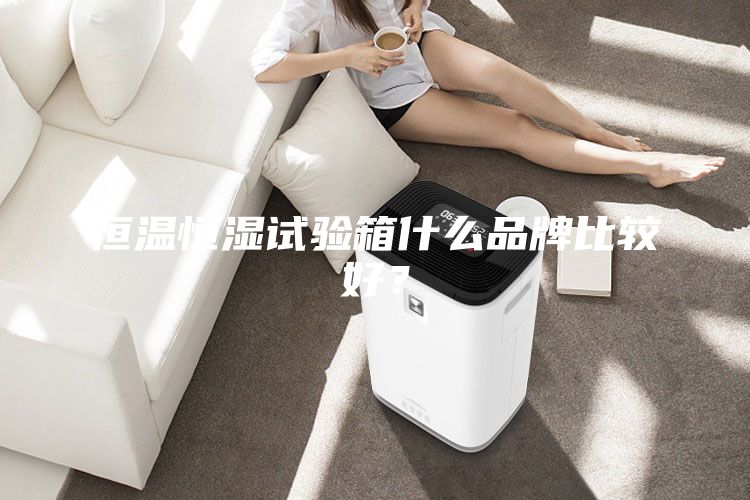 恒温恒湿试验箱什么品牌比较好？
