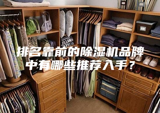 排名靠前的除湿机品牌中有哪些推荐入手？