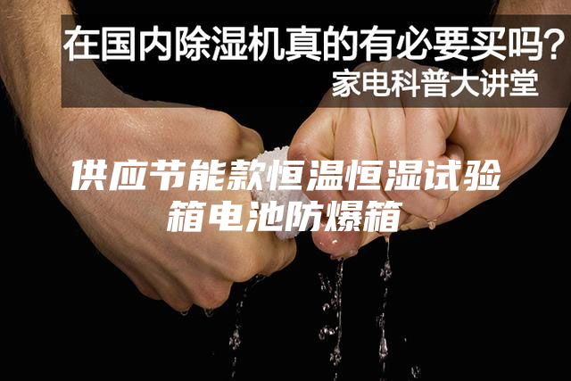 供应节能款恒温恒湿试验箱电池防爆箱