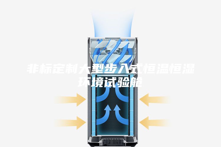非标定制大型步入式恒温恒湿环境试验舱