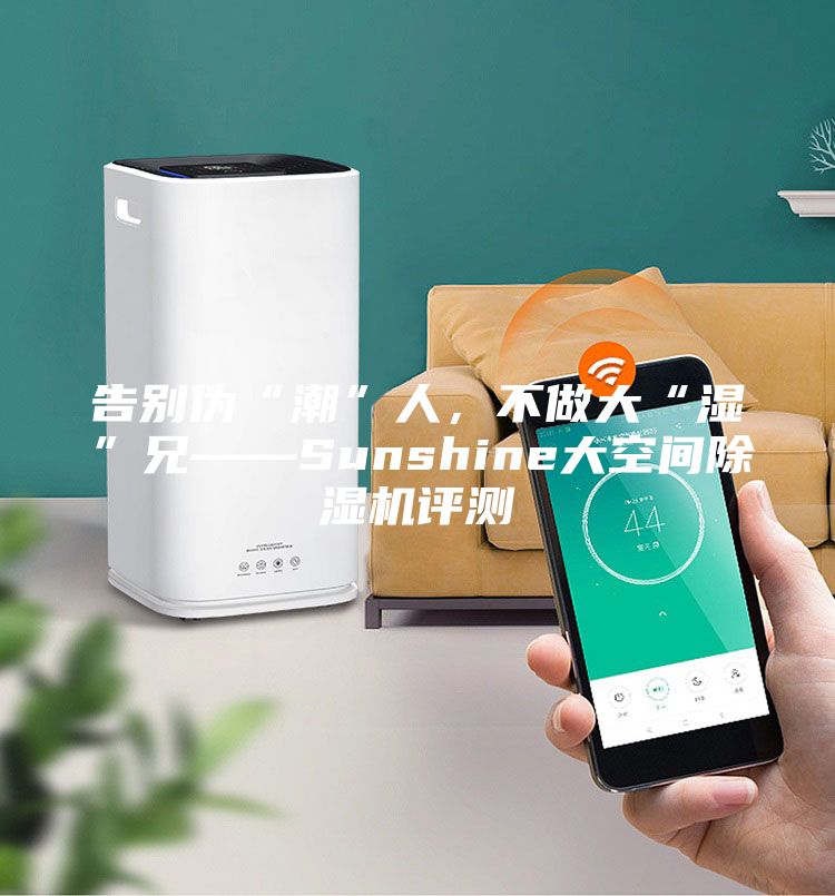 告别伪“潮”人，不做大“湿”兄——Sunshine大空间除湿机评测