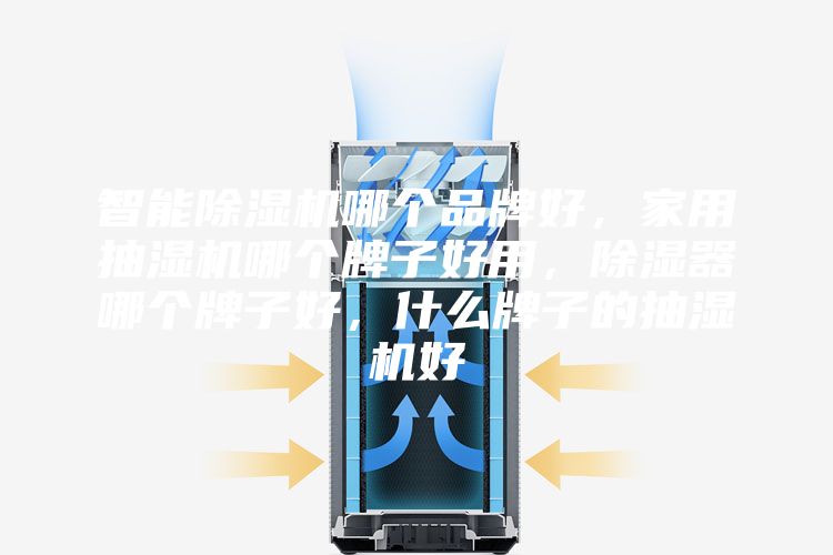 智能除湿机哪个品牌好，家用抽湿机哪个牌子好用，除湿器哪个牌子好，什么牌子的抽湿机好
