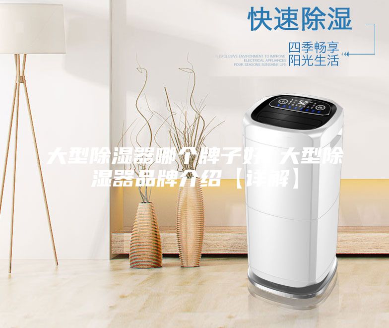 大型除湿器哪个牌子好 大型除湿器品牌介绍【详解】