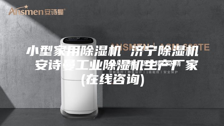 小型家用除湿机 济宁除湿机 安诗曼工业除湿机生产厂家(在线咨询)