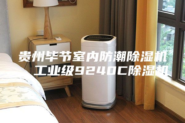 贵州毕节室内防潮除湿机，工业级9240C除湿机