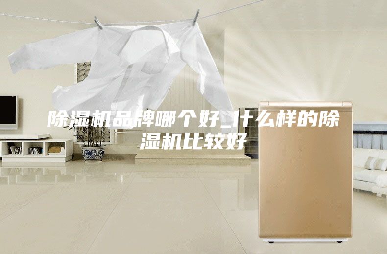 除湿机品牌哪个好_什么样的除湿机比较好