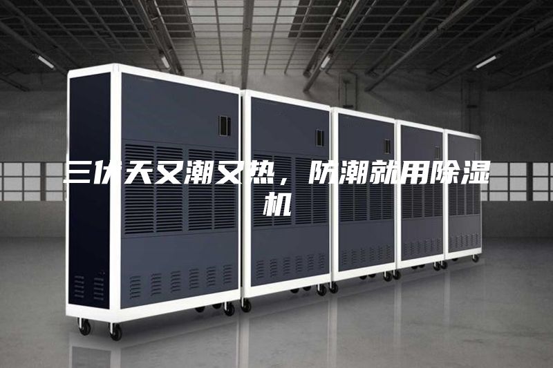 三伏天又潮又热，防潮就用除湿机