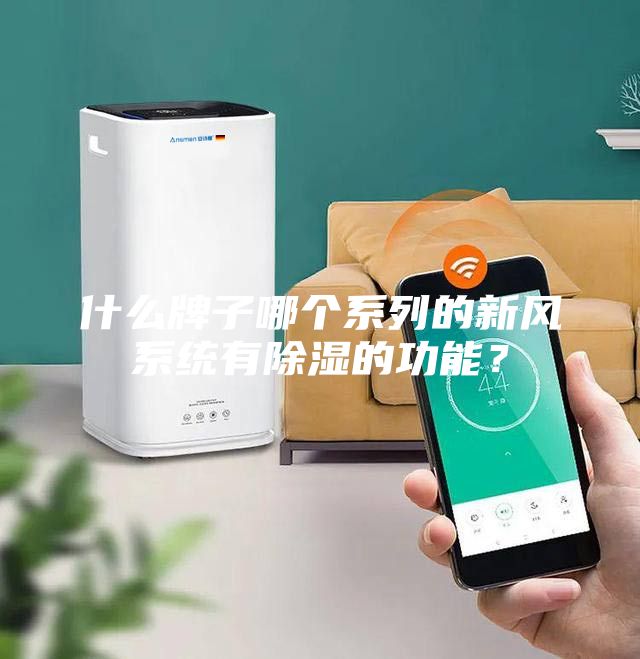什么牌子哪个系列的新风系统有除湿的功能？