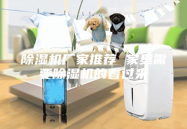 除湿机厂家推荐 家里需要除湿机的看过来