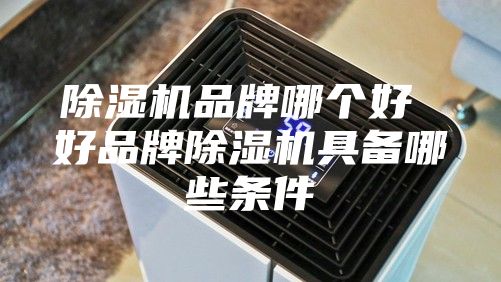 除湿机品牌哪个好 好品牌除湿机具备哪些条件
