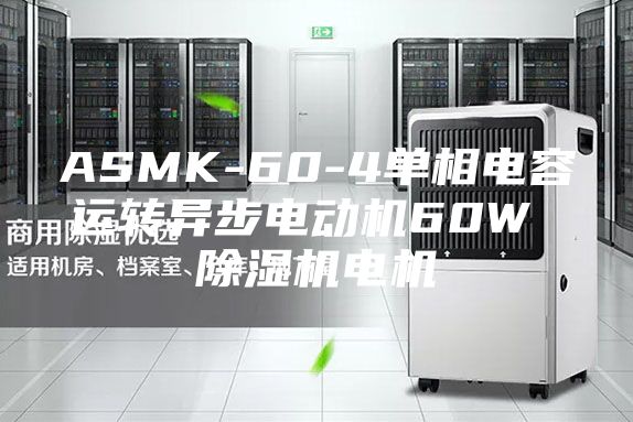 ASMK-60-4单相电容运转异步电动机60W 除湿机电机