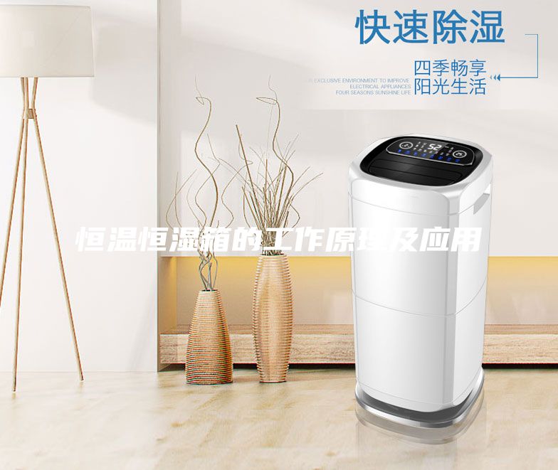 恒温恒湿箱的工作原理及应用