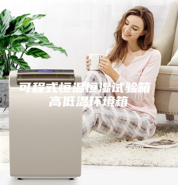 可程式恒温恒湿试验箱 高低温环境箱