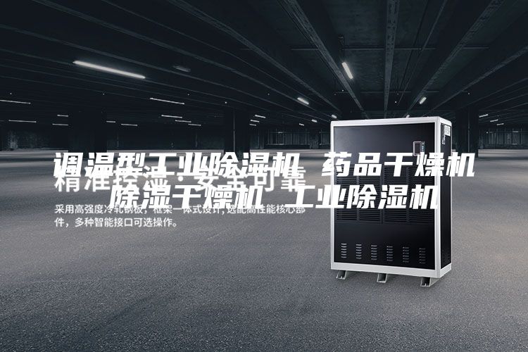 调温型工业除湿机 药品干燥机 除湿干燥机 工业除湿机