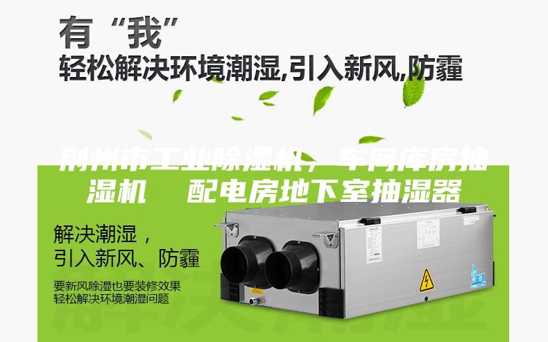 荆州市工业除湿机，车间库房抽湿机  配电房地下室抽湿器