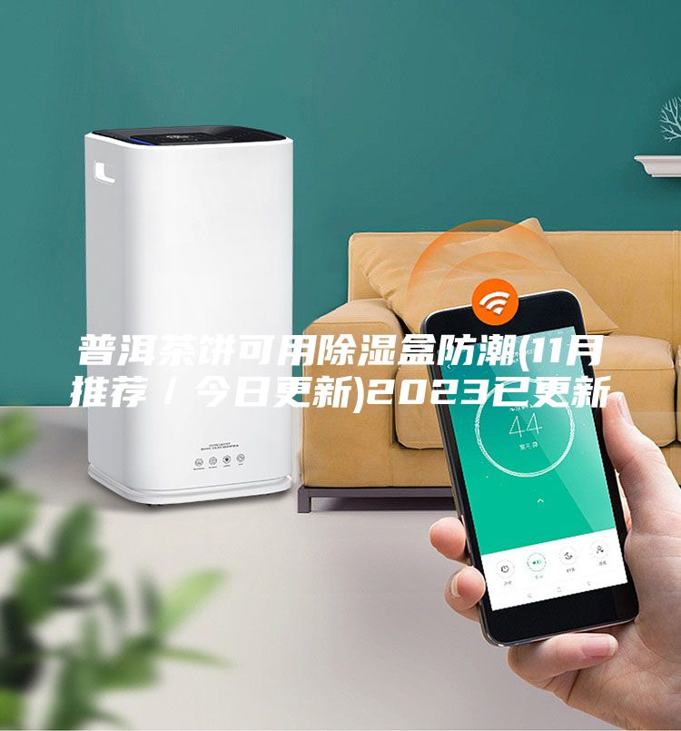 普洱茶饼可用除湿盒防潮(11月推荐／今日更新)2023已更新