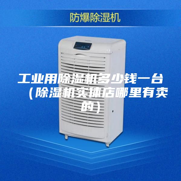 工业用除湿机多少钱一台（除湿机实体店哪里有卖的）