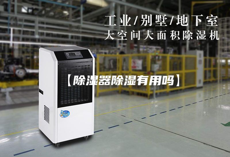 【除湿器除湿有用吗】