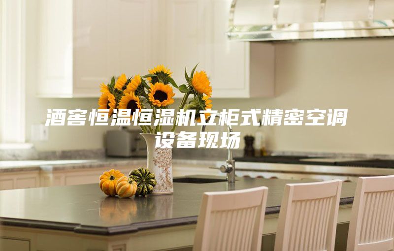 酒窖恒温恒湿机立柜式精密空调设备现场