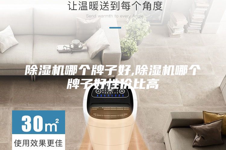 除湿机哪个牌子好,除湿机哪个牌子好性价比高