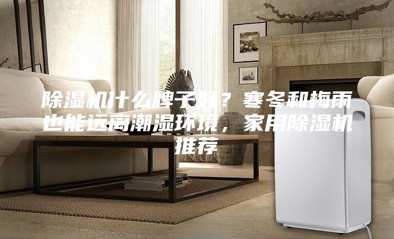 除湿机什么牌子好？寒冬和梅雨也能远离潮湿环境，家用除湿机推荐