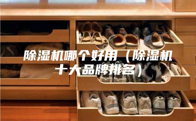 除湿机哪个好用（除湿机十大品牌排名）