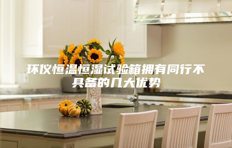 环仪恒温恒湿试验箱拥有同行不具备的几大优势