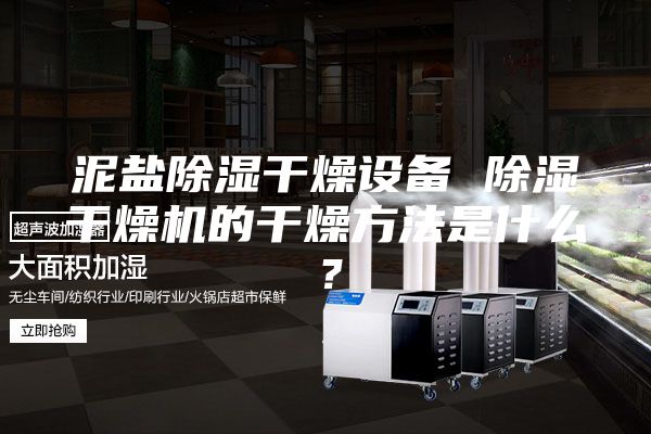 泥盐除湿干燥设备 除湿干燥机的干燥方法是什么？