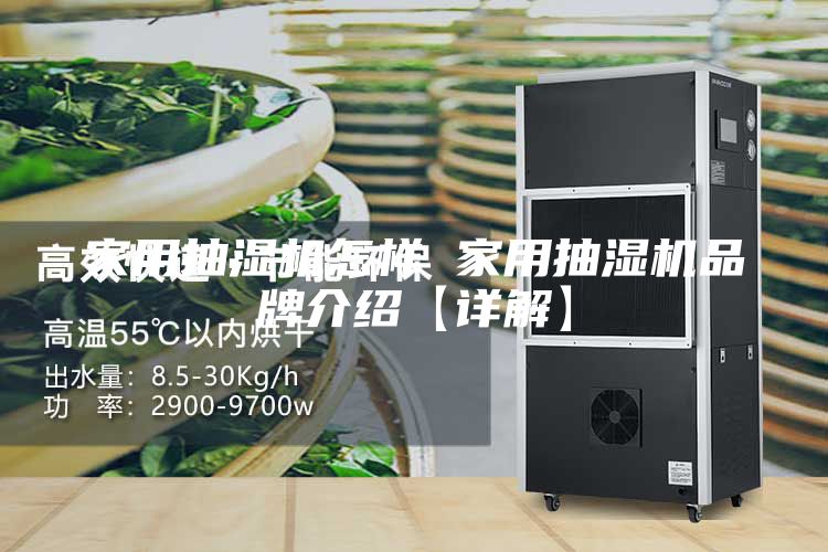 家用抽湿机怎样 家用抽湿机品牌介绍【详解】