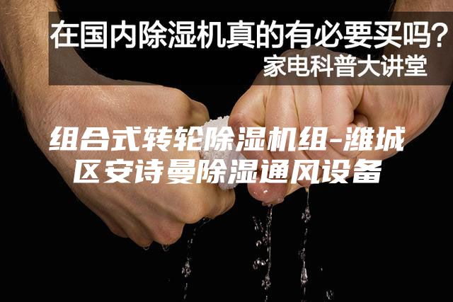 组合式转轮除湿机组-潍城区安诗曼除湿通风设备