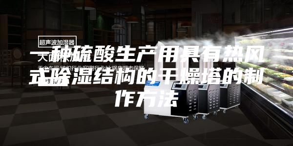 一种硫酸生产用具有热风式除湿结构的干燥塔的制作方法