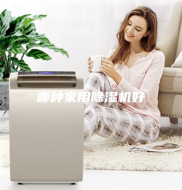 哪种家用除湿机好