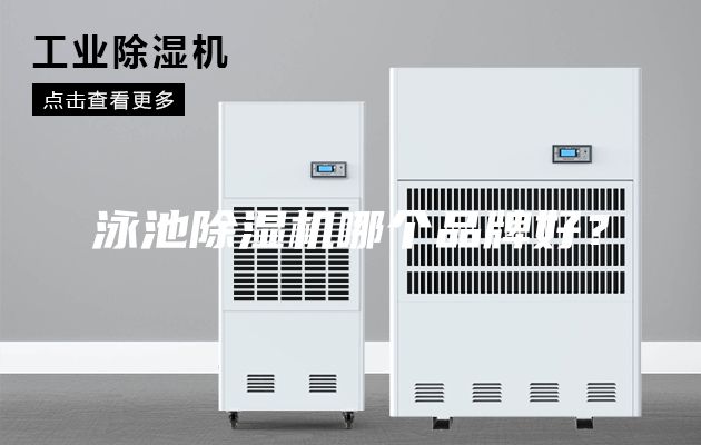 泳池除湿机哪个品牌好？