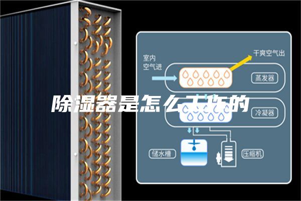 除湿器是怎么工作的