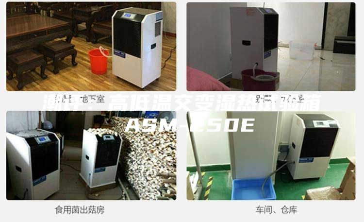 潮评：高低温交变湿热试验箱 ASM-250E
