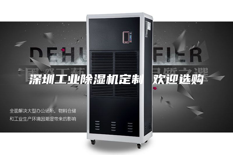 深圳工业除湿机定制 欢迎选购