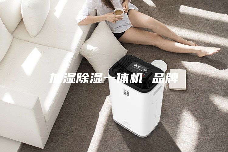 加湿除湿一体机 品牌