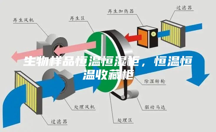 生物样品恒温恒湿柜，恒温恒温收藏柜