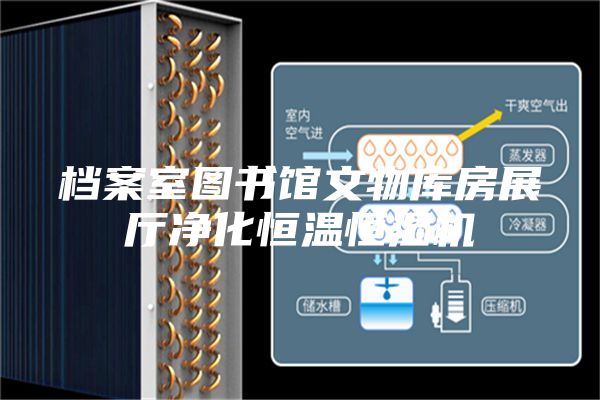 档案室图书馆文物库房展厅净化恒温恒湿机