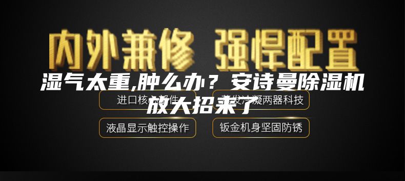 湿气太重,肿么办？安诗曼除湿机放大招来了