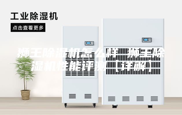 狮王除湿机怎么样 狮王除湿机性能评测【详解】