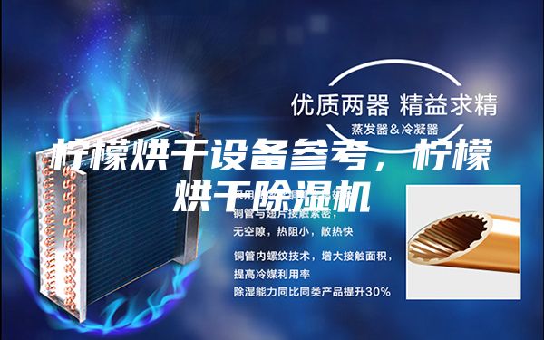 柠檬烘干设备参考，柠檬烘干除湿机